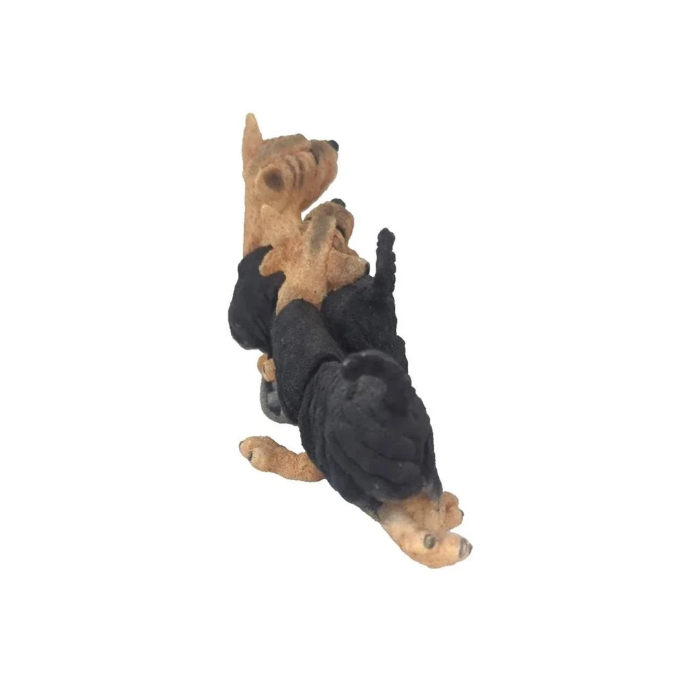 A Breed Apart Yorkie Pair Junior 8